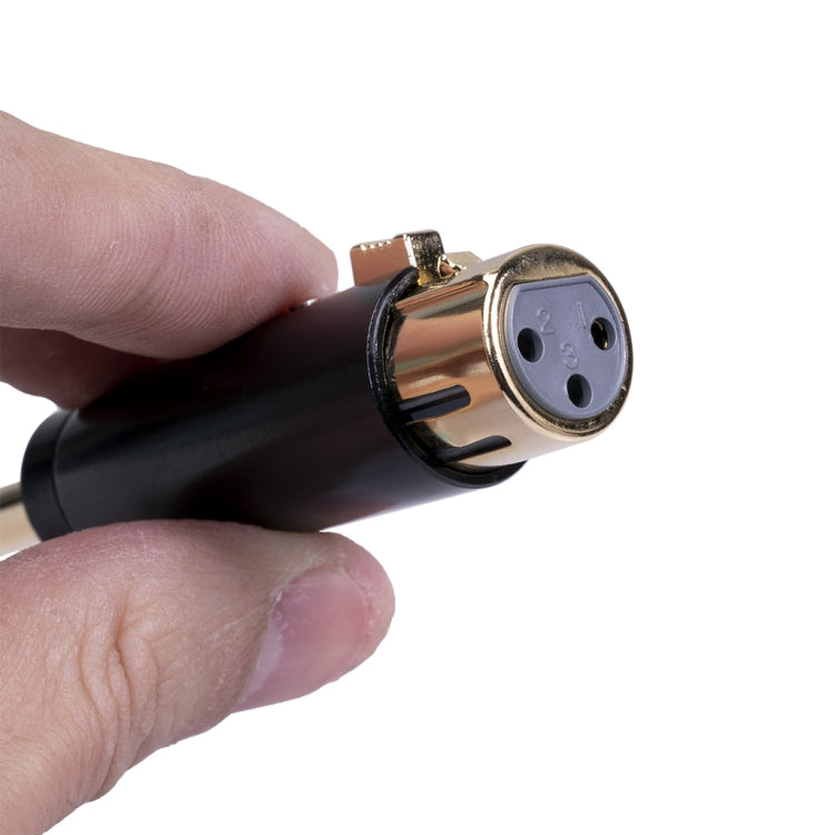 Adattatore audio maschio 6,35 mm a XLR femmina
