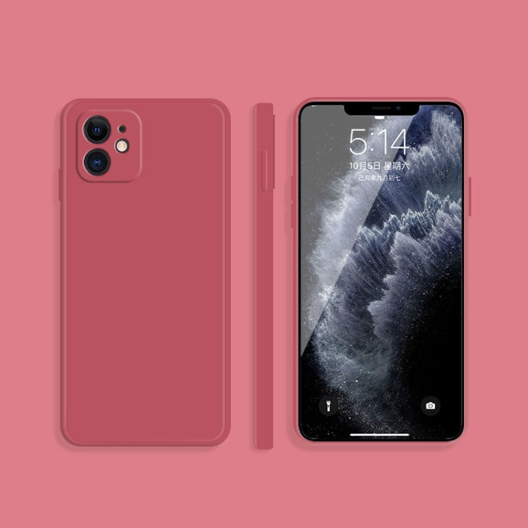 Custodia protettiva in silicone liquido per iPhone 11