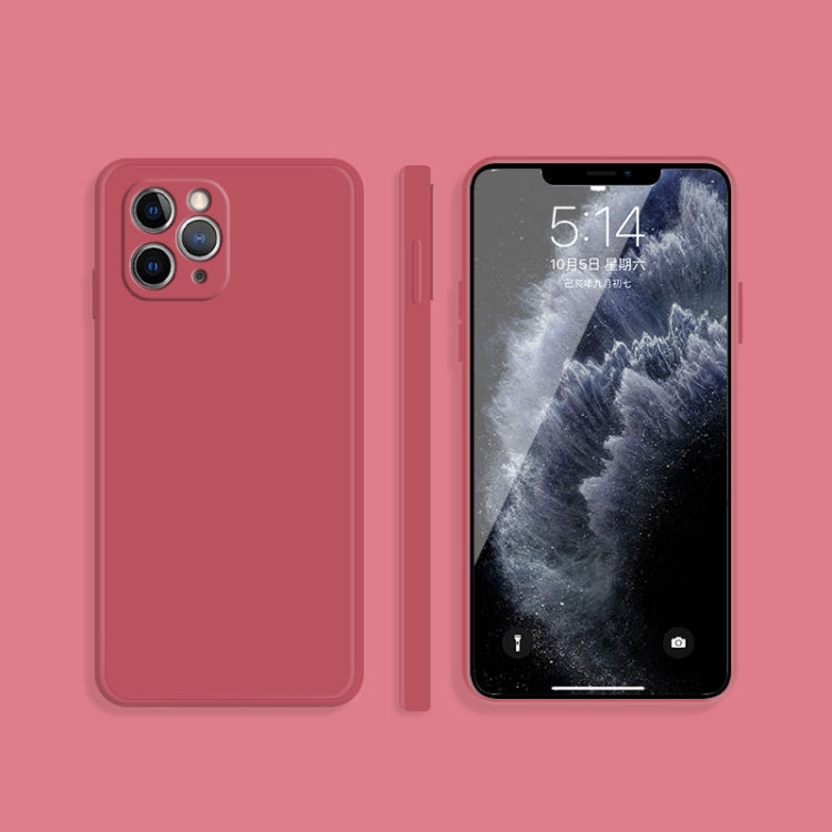 Custodia silicone liquido per iPhone 11 Pro e 11 Pro Max
