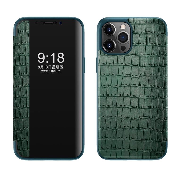 Custodia in pelle a vibrazione orizzontale con finestra di visualizzazione della trama del coccodrillo, For iPhone 11, For iPhone 11 Pro, For iPhone 11 Pro Max