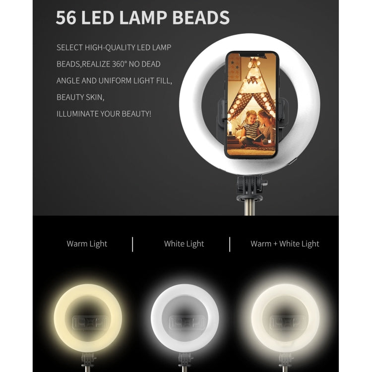 Treppiede selfie Bluetooth con luce ad anello 6 pollici