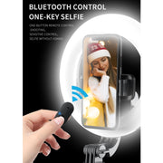 Q07 6 inch Ring Light Portable Bluetooth Selfie Stick Tripod, Q07