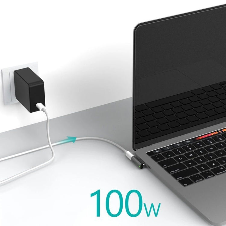 100W USB-C/Type-C femmina a 20 pin magnetico USB-C/Type-C adattatore a gomito maschio