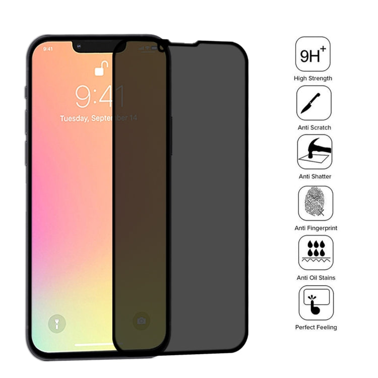 Pellicola in vetro temperato anti-sbirciatina per iPhone