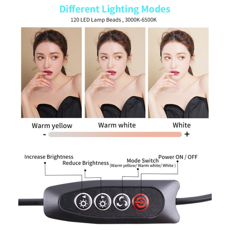 Luce LED da tavolo USB regolabile 10 livelli 3000-6500K