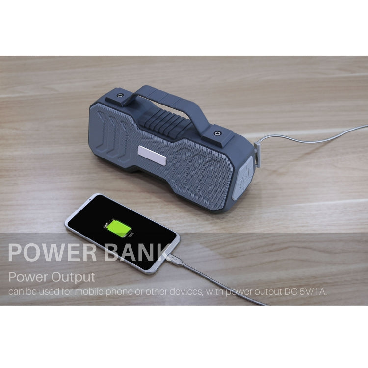 Altoparlante Bluetooth portatile karaoke NR-4500M 10W