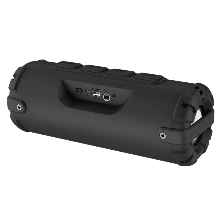 Altoparlante Bluetooth portatile Rixing NR-6013M 20W