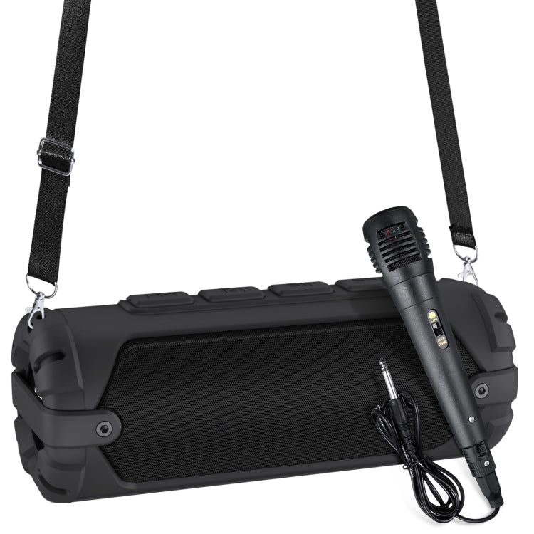 Altoparlante Bluetooth portatile Rixing NR-6013M 20W