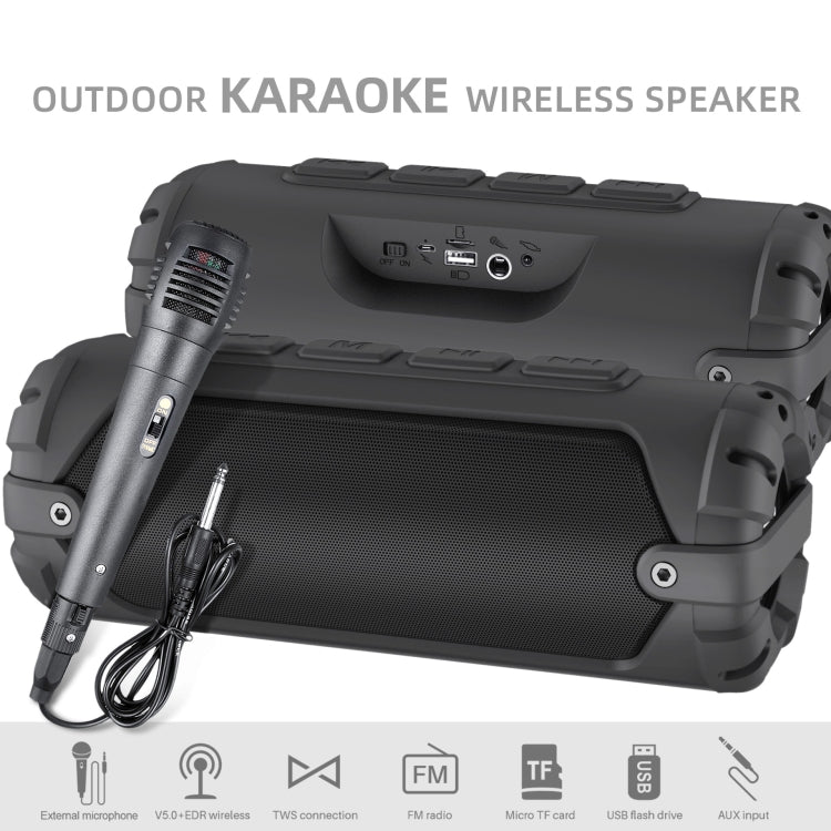 Altoparlante Bluetooth portatile Rixing NR-6013M 20W