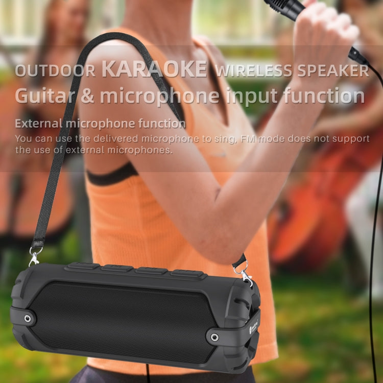 Altoparlante Bluetooth portatile Rixing NR-6013M 20W