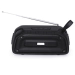 Altoparlante Bluetooth impermeabile Rixing NR-906FM TWS