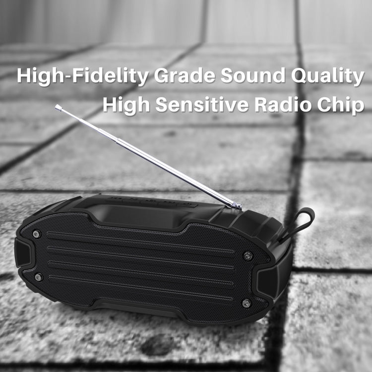 Altoparlante Bluetooth portatile Rixing NR-907FM con radio FM