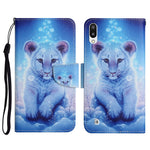 Custodia in pelle flip orizzontale con motivo dipinto con supporto, slot per schede e portafoglio, For Samsung Galaxy A01