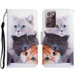 Custodia in pelle flip orizzontale con motivo dipinto con supporto, slot per schede e portafoglio, For Samsung Galaxy Note20 Ultra