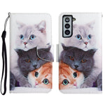 Custodia in pelle flip orizzontale con motivo dipinto con supporto, slot per schede e portafoglio, For Samsung Galaxy S21 5G