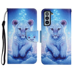 Custodia in pelle flip orizzontale con motivo dipinto con supporto, slot per schede e portafoglio, For Samsung Galaxy S21+ 5G