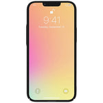 Custodia rigida smerigliata per iPhone 13 Pro