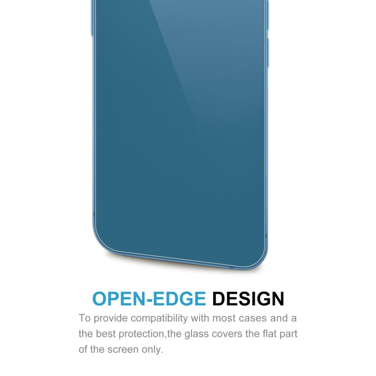 Pellicola vetro temperato posteriore per iPhone 13 Pro Max