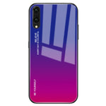 Custodia in vetro sfumato per OPPO F11 Pro