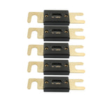 Fusibile ANL per auto a forcella grande placcato in oro da 5 pezzi 100A, 100A
