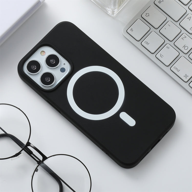 Custodia in silicone MagSafe per iPhone 12 e 13