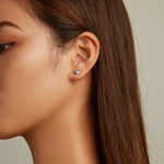 Orecchini da donna con zirconi a forma di cuore in argento sterling S925, Heart Zircon(Blue), Heart Zircon(Red)