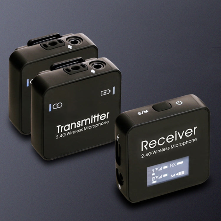 Microfono Lavalier Wireless AY123 2.4G a Doppio Canale