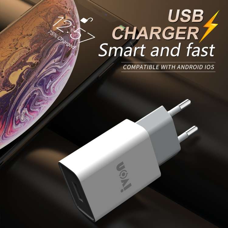 IVON AD-33 caricatore da viaggio USB 2,1A con cavi 1m