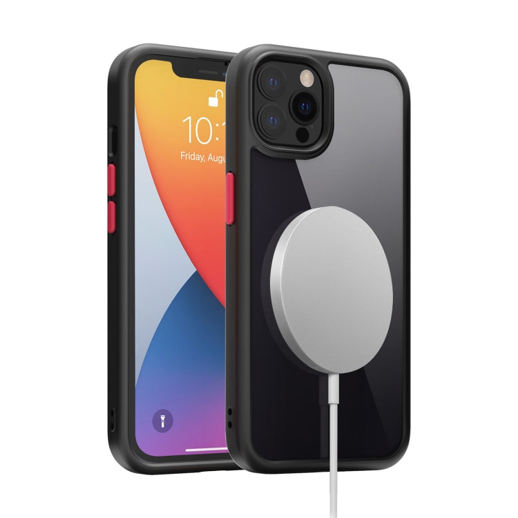 Custodia in vetro Kingsteel Wolf per iPhone 11 e compatibili