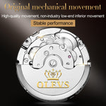 Orologio meccanico impermeabile automatico del grande volano degli uomini multifunzionali di OLEVS 6607