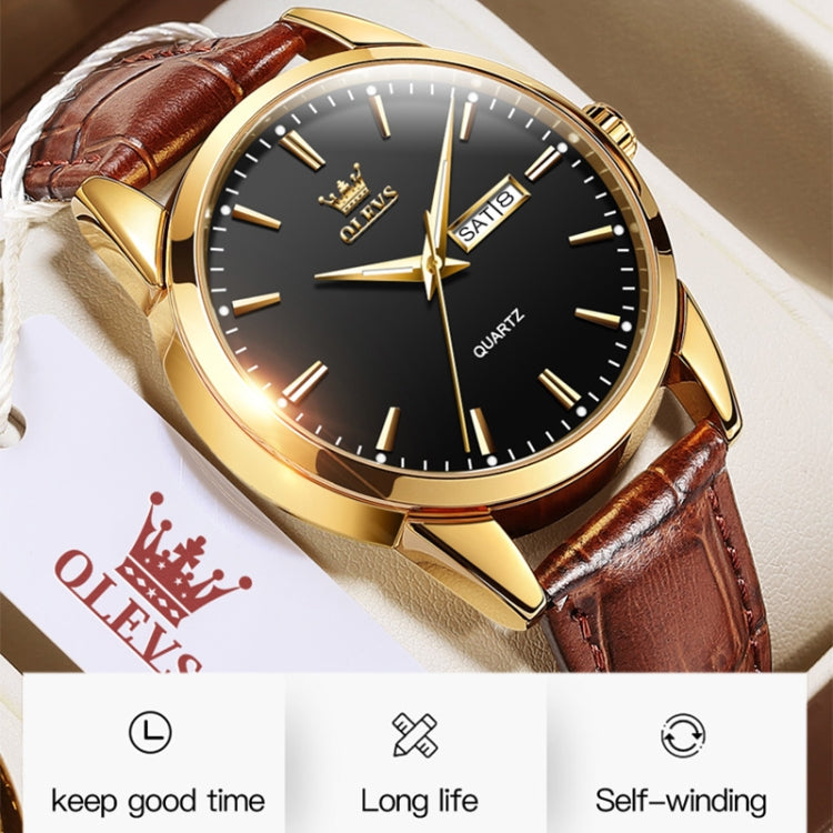Alt immagine