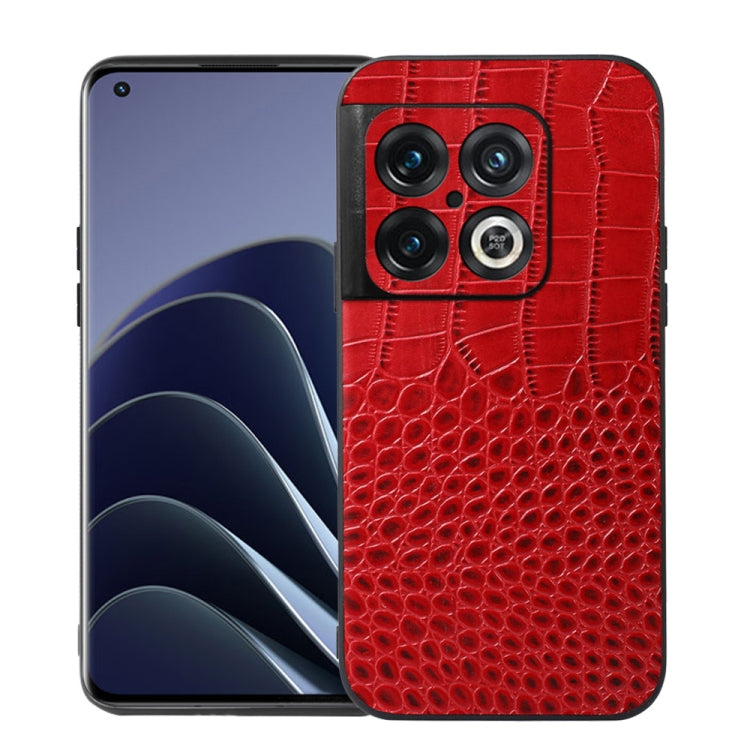 Custodia per telefono in pelle di vacchetta di coccodrillo, For OnePlus 10 Pro 5G, For OnePlus Nord CE 2 5G