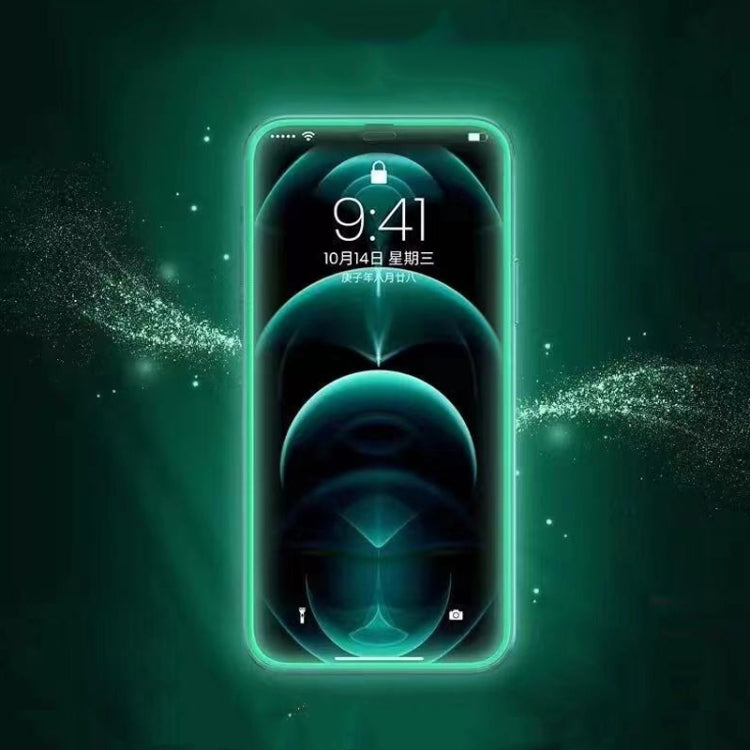 Pellicola vetro temperato luminosa per iPhone 13 Pro Max