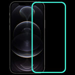 Pellicola vetro temperato luminosa per iPhone 13 Pro Max