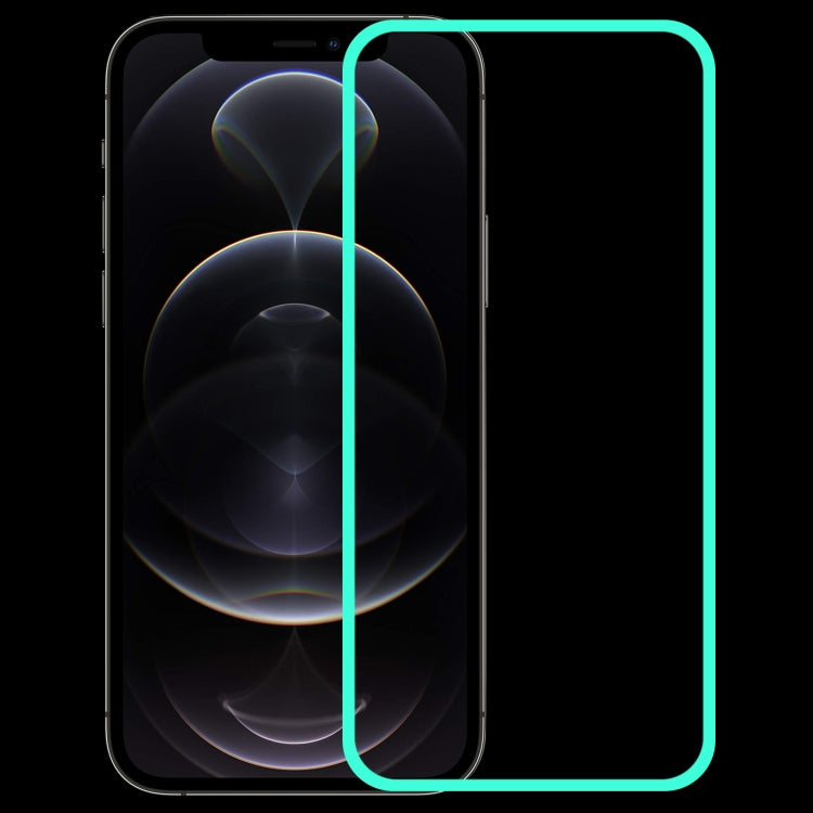 Pellicola vetro temperato luminosa per iPhone 13 Pro Max