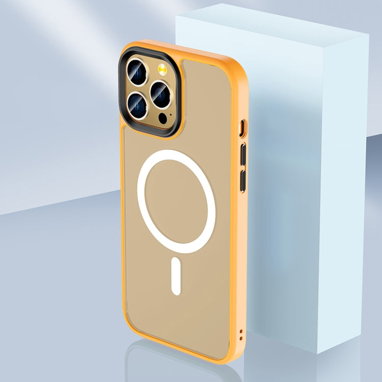 Custodia TPU MagSafe per iPhone 12 Pro Max e 12 Pro