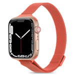 Cinturino milanese a vita piccola per Apple Watch Series, 7 41mm / 6&SE&5&4 40mm / 3&2&1 38mm