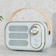 DW13 Mini altoparlante Bluetooth wireless retrò HIFI portatile