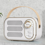 DW13 Mini altoparlante Bluetooth wireless retrò HIFI portatile