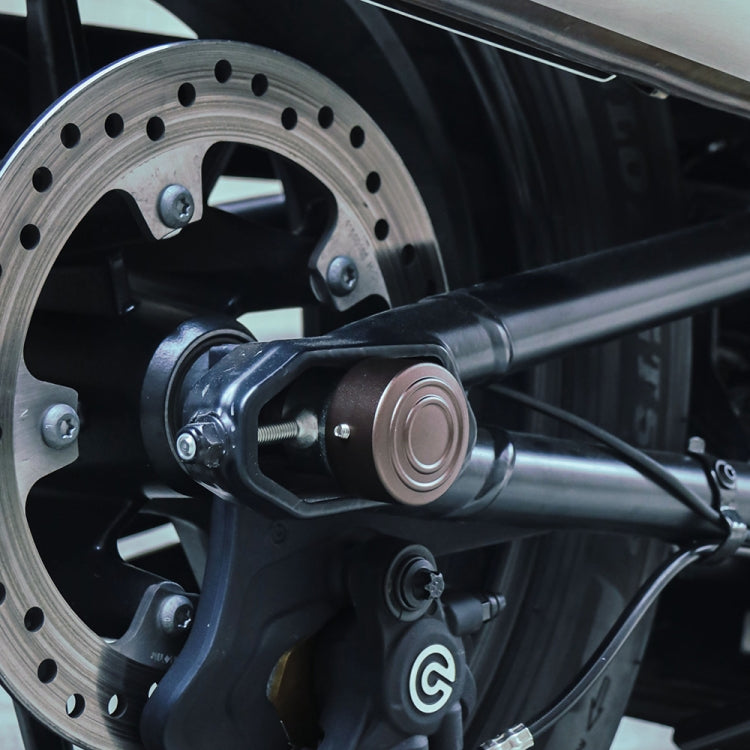HP-A006 Cappucci per dadi dell'asse posteriore modificati per moto per Harley Sportster S