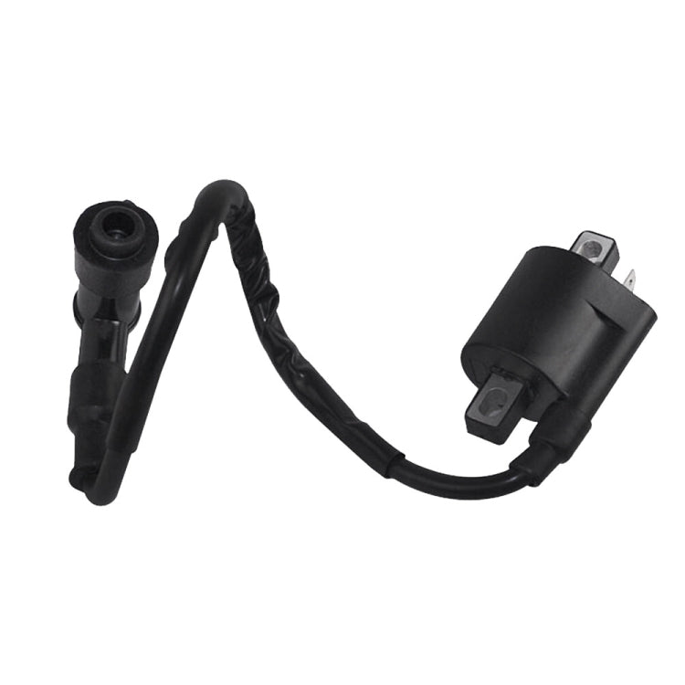 Bobina di accensione moto per bobina ad alta pressione 125cc 150cc 200cc ATV Quad Dirt Pit Bike, For 125cc 150cc 200cc Bike