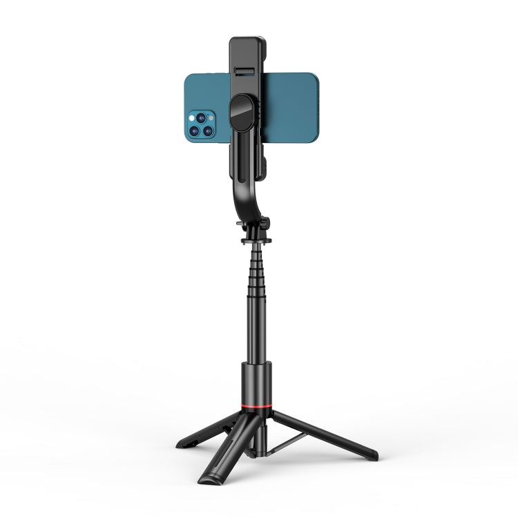 Detachable Fill Light Tripod Selfie Stick Phone Holder with Bluetooth Remote L12D, L12D