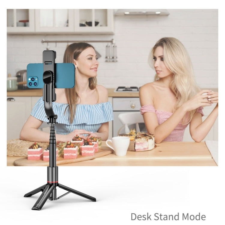 Detachable Fill Light Tripod Selfie Stick Phone Holder with Bluetooth Remote L12D, L12D