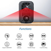 MD31 Mini 1080P HD Videocamera Night Vision PIR Motion Action Micro Camera, MD31