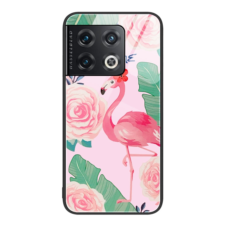 Custodia per telefono in vetro verniciato colorato, For OnePlus 10 Pro