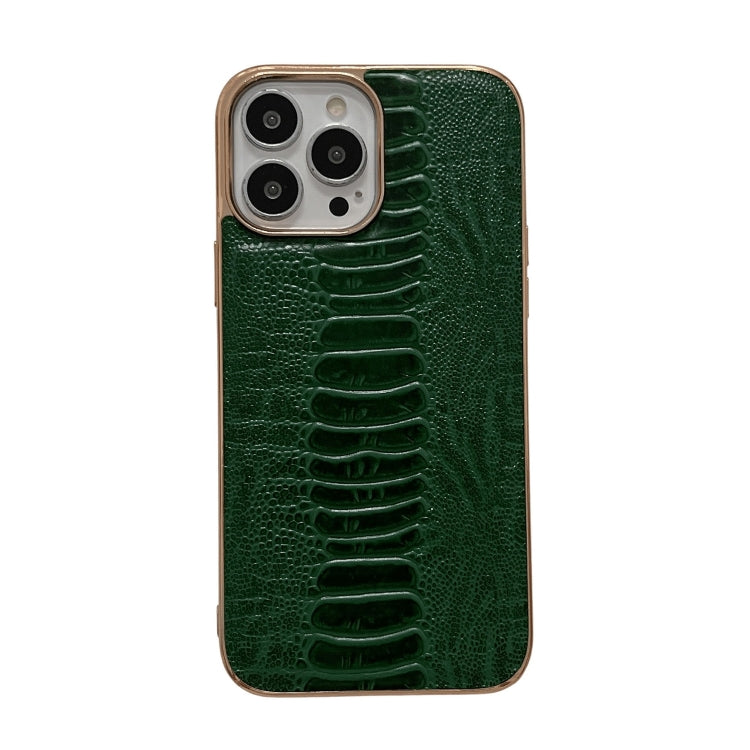 Custodia per telefono galvanica nano serie Pinshang in vera pelle, For iPhone 13 Pro Max