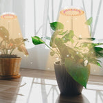 10W 48 LED Pianta grassa Grow Fill Light, Angel Ring, Bee, Round Tube