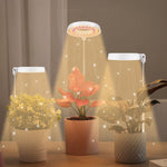 10W 48 LED Pianta grassa Grow Fill Light, Angel Ring, Bee, Round Tube