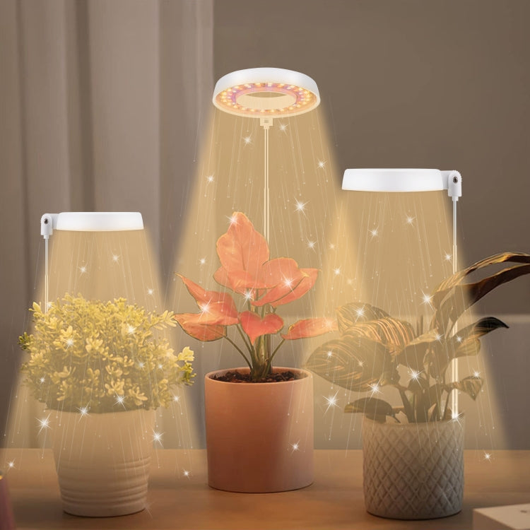 10W 48 LED Pianta grassa Grow Fill Light, Angel Ring, Bee, Round Tube