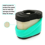 Pulitore filtro aria per Briggs & Stratton 792105 276890 4163205 4163206 44H777, For Briggs & Stratton 792105